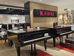 -柏斯音乐艺术中心·钢琴·吉他(上音店)