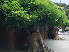 -大连人民广场