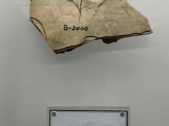 -辽宁古生物博物馆