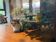 -IFIF 如果花園(宽厚里店)