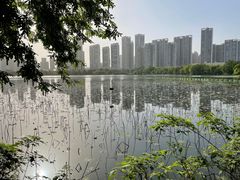 -东湖生态旅游风景区