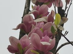 -钟山体育运动公园