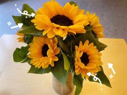 -BULB STUDIO 巴柏明星发型工作室