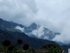 -嘉华鲜花饼·现烤(昆明老街店)