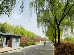 -洨河生态公园