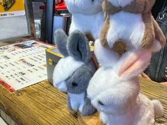 -寿奶茶·鲜奶与茶(合生汇购物中心店)