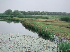 -良渚古城遗址公园