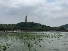 -顺峰山公园