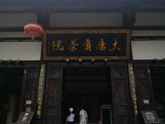 -大唐贡茶院