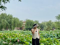 -南翠屏公园