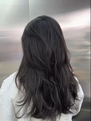 -Hair Code芭曲发型