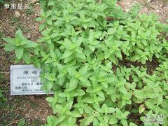 -陈李济中药博物馆