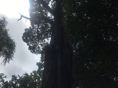 -青岛崂山太清宫
