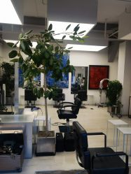 -Hair  Gallery
