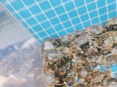-加尔森烤肉海鲜·火锅烧烤自助