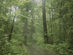 -汪记鲜鱼糊汤粉(沈阳路总店)