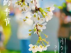 -上海鲁迅公园