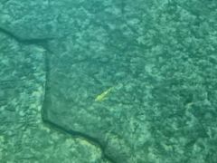 -白鹤梁水下博物馆