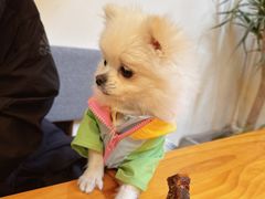 -小意思咖啡店(草桥店)