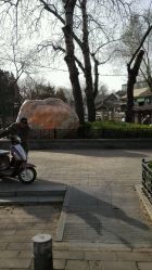 android_upload_pic-西城区什刹海儿童乐园
