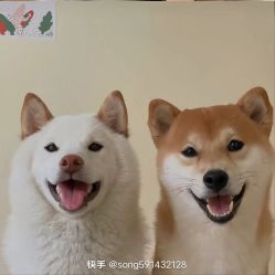 -HEYAN荷妍专业脱毛连锁机构