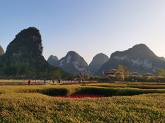 -靖西鹅泉风景区