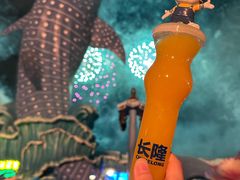 -珠海长隆海洋王国