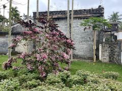 -蔡家宅