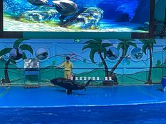 -石家庄极地海洋世界