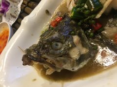 -陶缘一号·四季缘·老字号顺德菜·户外婚礼家宴(西滘店)