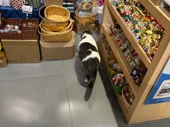 -解忧集市(北京路天河城店)