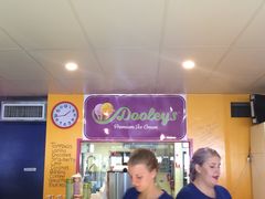-Dooley's Premium Ice Cream