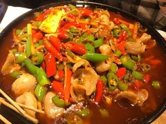 火爆仔姜鱼肚-成都吃客(九眼桥店)
