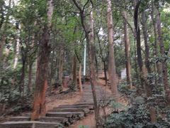 -水濂山森林公园