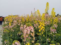 -中国天府农业博览园