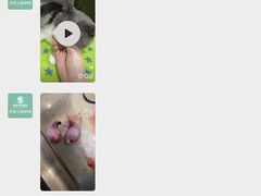 -瑞派动物医院·绝育·犬猫全科·预防医学(光景江南中店)