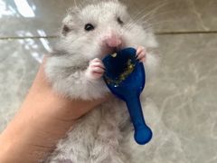 -白鹿原樱桃园
