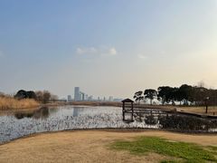 -金鸡湖大酒店·金咖啡厅(国宾路店)