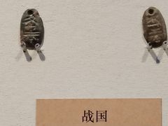 -安阳博物馆