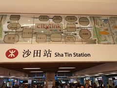 -Lady M(沙田新城市广场店)