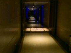 -维尼亚KTV(郴州店)