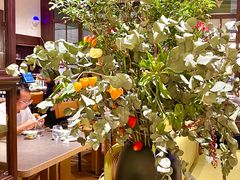 -渔语鱼新川菜Bistro(万象天地店)