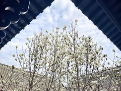 -苏皖边区政府旧址纪念馆