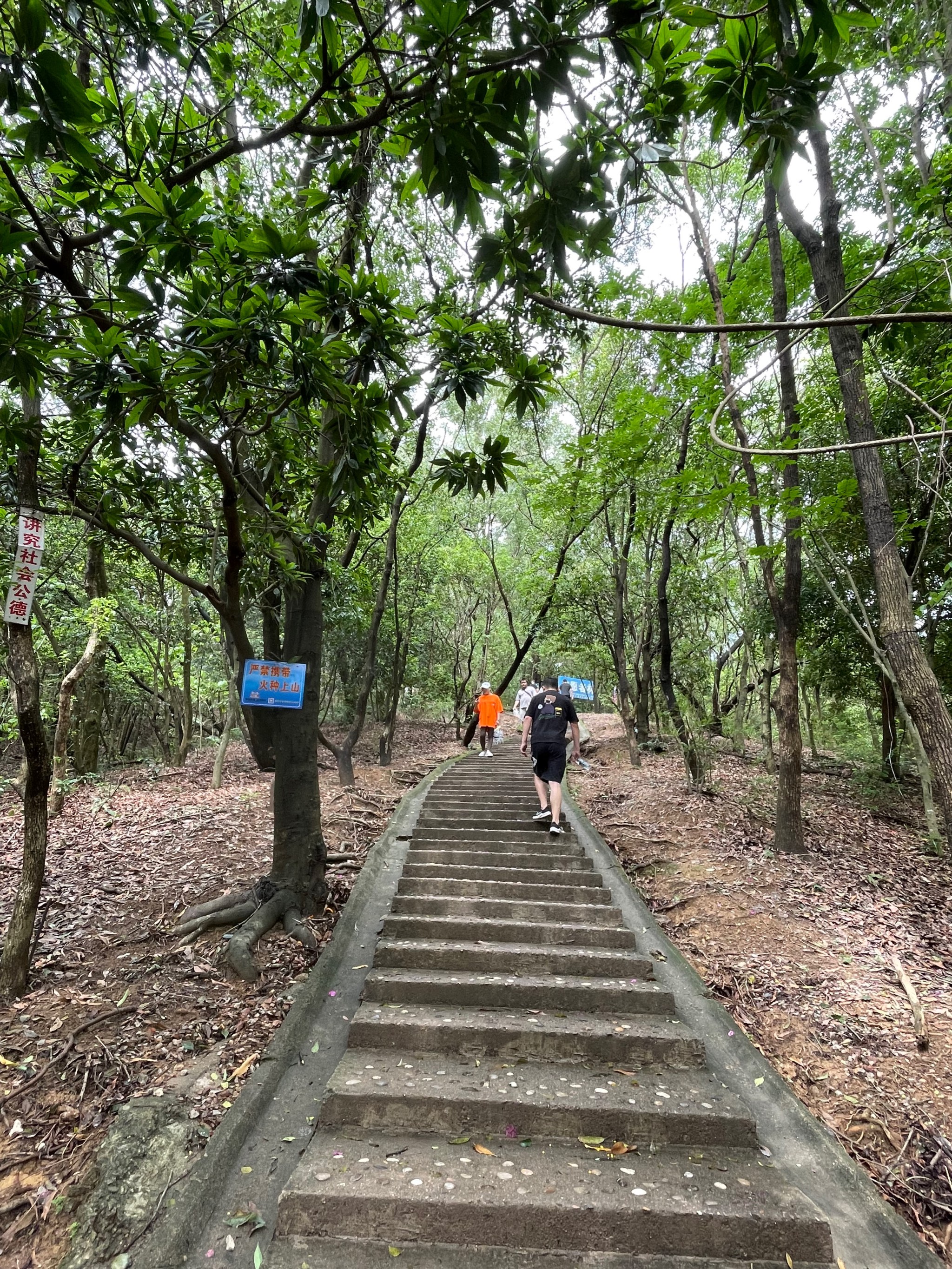 鹿寨山公园环山路图片