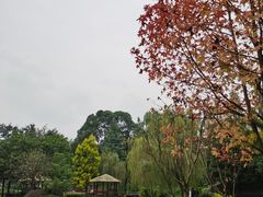 -成飞公园
