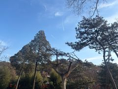 -红螺寺