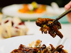 -蝶园·装修中(BFC外滩金融中心店)