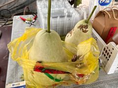 -马陆小张葡萄园农家乐