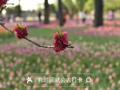 -国家植物园