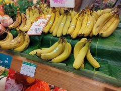 -PAGODA百果园(华发世纪城店)